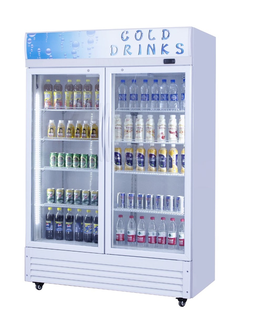 RIGID - CHILLER - DISPLAY 2 DOOR SWING