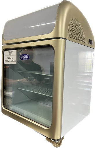 [ZHX-XLD-100] RIGID - FREEZER - DISPLAY COUNTERTOP
